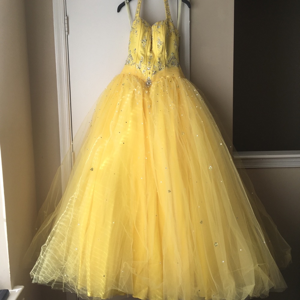 Prom/Quinceañera princess gown